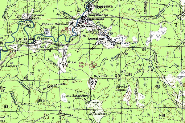 Уменьшенный фрагмент представленной топографической карты O-38-02 - Trasa.ru