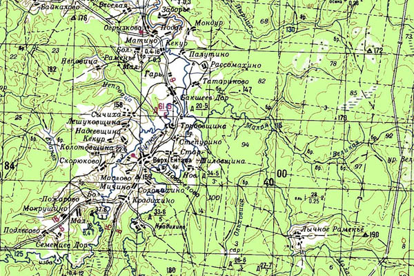 Уменьшенный фрагмент представленной топографической карты O-38-05 - Trasa.ru