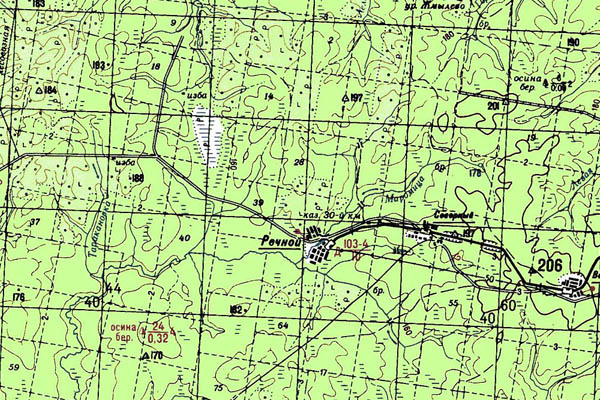 Уменьшенный фрагмент представленной топографической карты O-38-06 - Trasa.ru