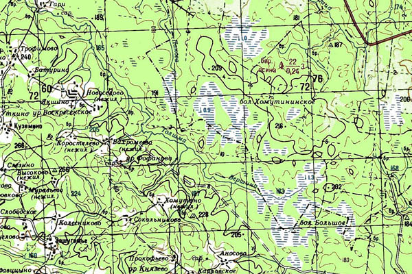Уменьшенный фрагмент представленной топографической карты O-38-07 - Trasa.ru