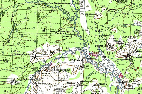 Уменьшенный фрагмент представленной топографической карты O-38-24 - Trasa.ru