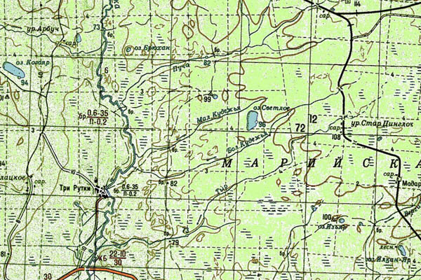 Уменьшенный фрагмент представленной топографической карты O-38-35 - Trasa.ru