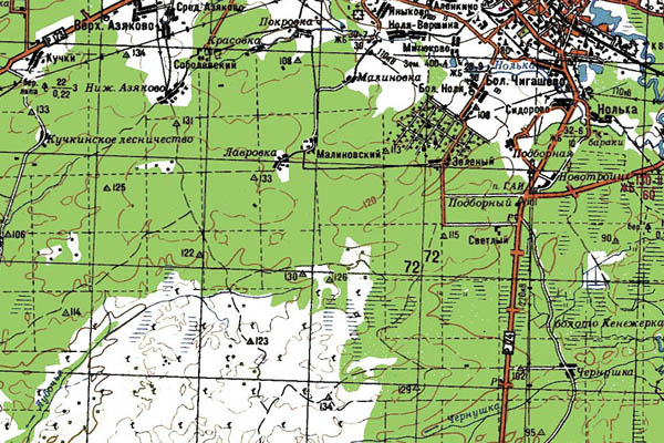 Уменьшенный фрагмент представленной топографической карты O-38-36 - Trasa.ru