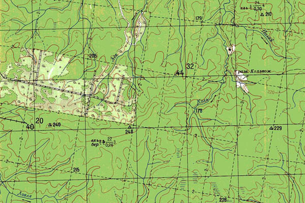 Уменьшенный фрагмент представленной топографической карты O-39-02 - Trasa.ru