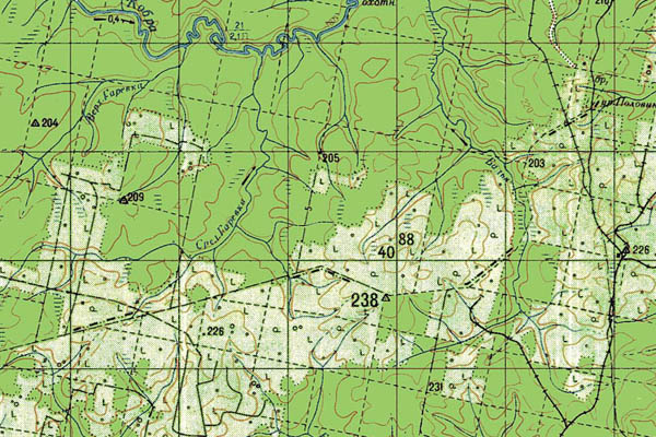 Уменьшенный фрагмент представленной топографической карты O-39-03 - Trasa.ru