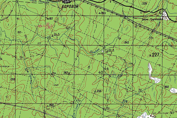 Уменьшенный фрагмент представленной топографической карты O-39-04 - Trasa.ru