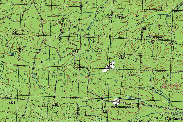 Уменьшенный фрагмент представленной топографической карты O-39-06 - Trasa.ru