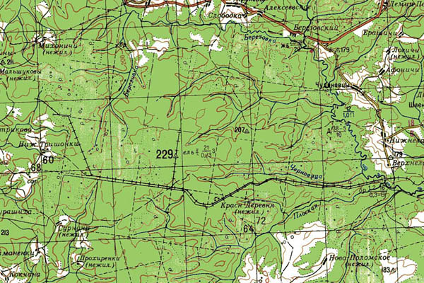 Уменьшенный фрагмент представленной топографической карты O-39-07 - Trasa.ru