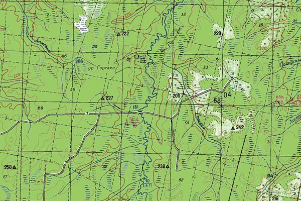 Уменьшенный фрагмент представленной топографической карты O-39-11 - Trasa.ru