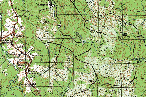 Уменьшенный фрагмент представленной топографической карты O-39-17 - Trasa.ru