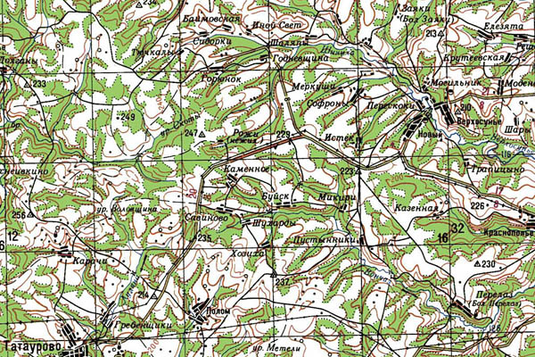 Уменьшенный фрагмент представленной топографической карты O-39-20 - Trasa.ru