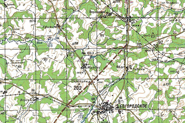 Уменьшенный фрагмент представленной топографической карты O-39-21 - Trasa.ru