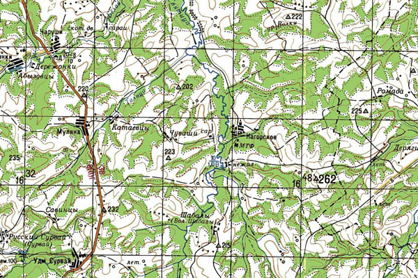 Уменьшенный фрагмент представленной топографической карты O-39-22 - Trasa.ru