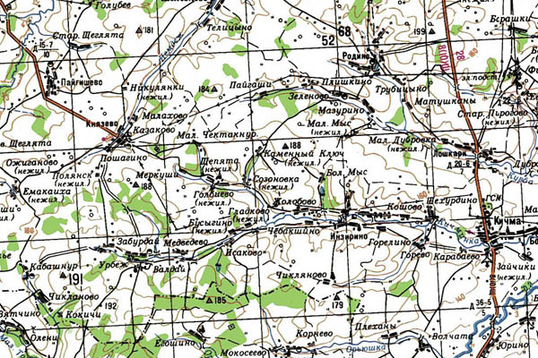 Уменьшенный фрагмент представленной топографической карты O-39-25 - Trasa.ru