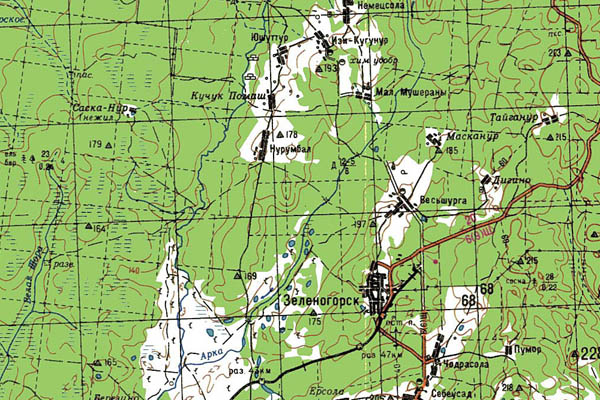 Уменьшенный фрагмент представленной топографической карты O-39-31 - Trasa.ru