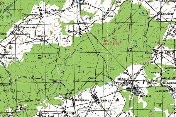 Уменьшенный фрагмент представленной топографической карты O-39-32 - Trasa.ru