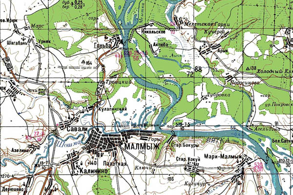 Уменьшенный фрагмент представленной топографической карты O-39-33 - Trasa.ru