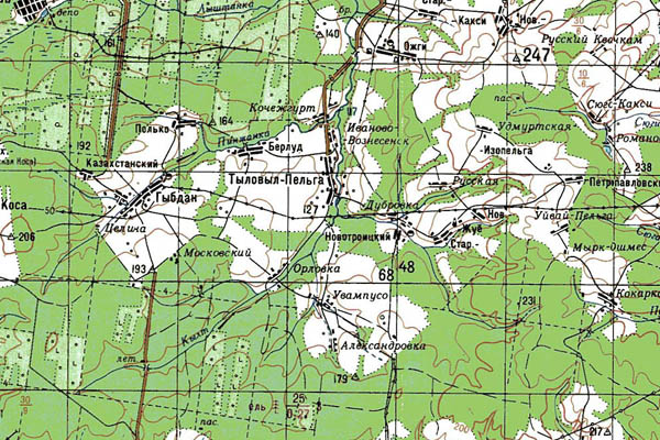 Уменьшенный фрагмент представленной топографической карты O-39-34 - Trasa.ru