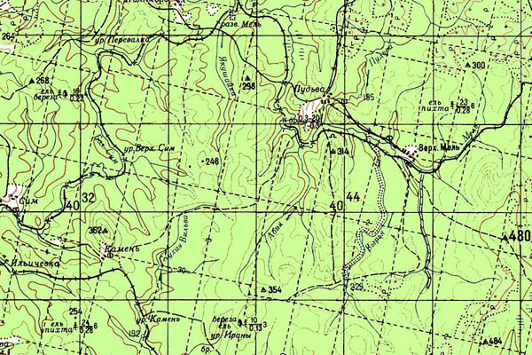 Уменьшенный фрагмент представленной топографической карты O-40-04 - Trasa.ru