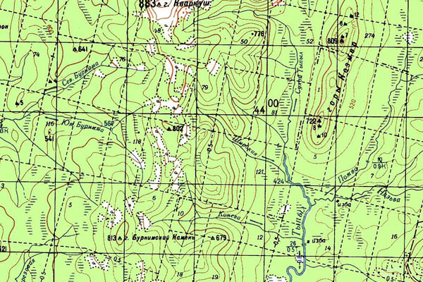 Уменьшенный фрагмент представленной топографической карты O-40-05 - Trasa.ru