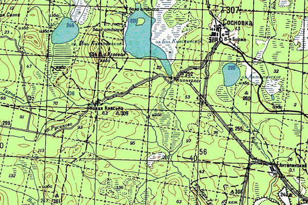 Уменьшенный фрагмент представленной топографической карты O-40-06 - Trasa.ru