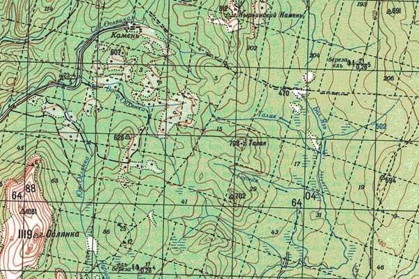 Уменьшенный фрагмент представленной топографической карты O-40-11 - Trasa.ru