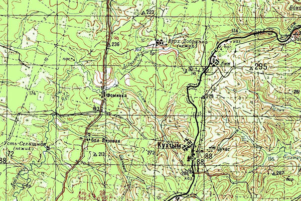 Уменьшенный фрагмент представленной топографической карты O-40-15 - Trasa.ru