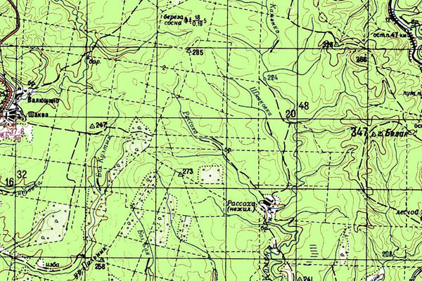 Уменьшенный фрагмент представленной топографической карты O-40-22 - Trasa.ru