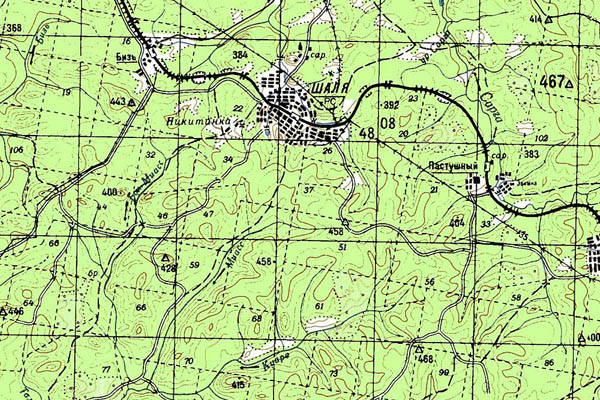 Уменьшенный фрагмент представленной топографической карты O-40-29 - Trasa.ru