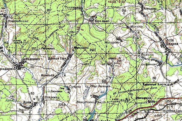 Уменьшенный фрагмент представленной топографической карты O-40-32 - Trasa.ru