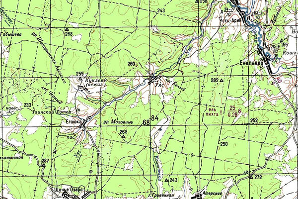 Уменьшенный фрагмент представленной топографической карты O-40-33 - Trasa.ru