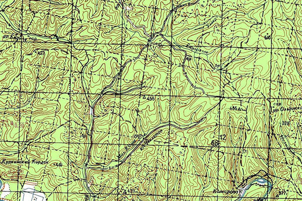 Уменьшенный фрагмент представленной топографической карты O-40-35 - Trasa.ru