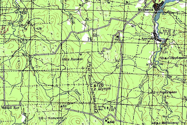 Уменьшенный фрагмент представленной топографической карты O-40-36 - Trasa.ru