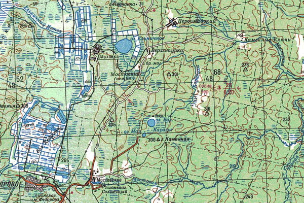 Уменьшенный фрагмент представленной топографической карты O-41-25 - Trasa.ru