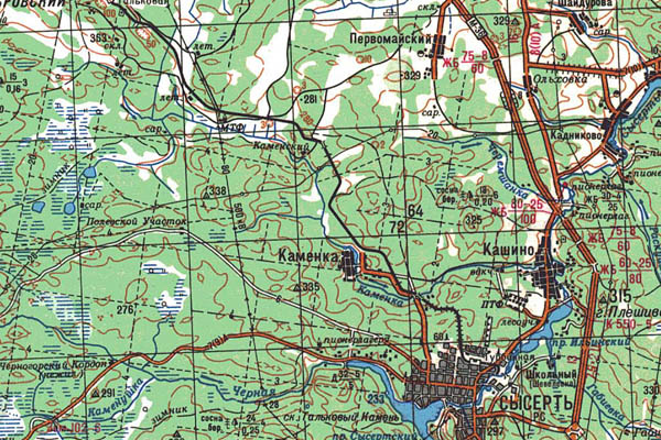 Уменьшенный фрагмент представленной топографической карты O-41-31 - Trasa.ru