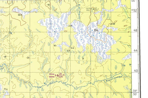 Уменьшенный фрагмент представленной топографической карты O-43-04 - Trasa.ru