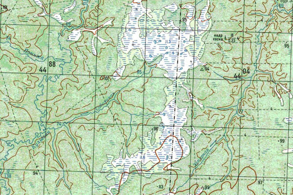 Уменьшенный фрагмент представленной топографической карты O-43-05 - Trasa.ru