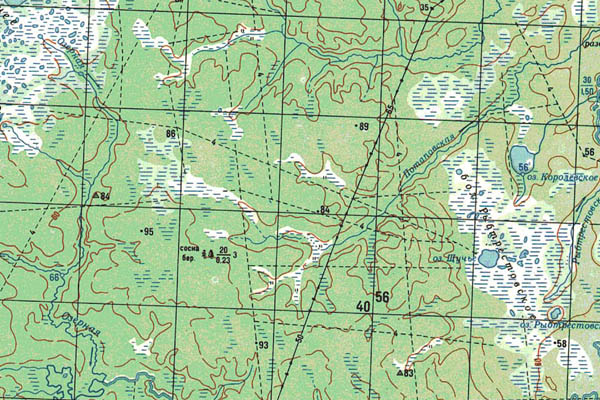 Уменьшенный фрагмент представленной топографической карты O-43-06 - Trasa.ru