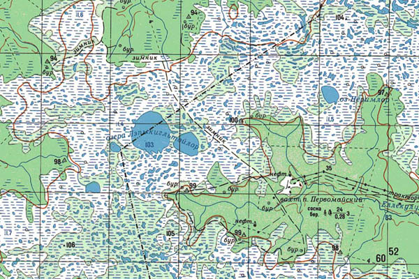 Уменьшенный фрагмент представленной топографической карты O-43-10 - Trasa.ru