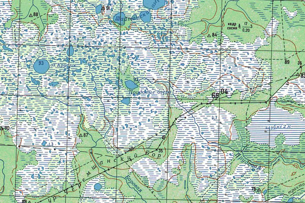 Уменьшенный фрагмент представленной топографической карты O-43-11 - Trasa.ru