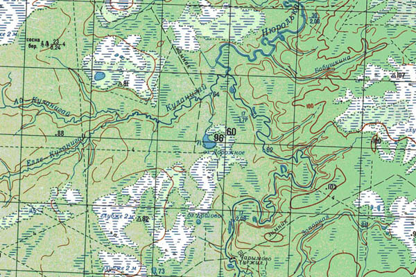 Уменьшенный фрагмент представленной топографической карты O-43-18 - Trasa.ru