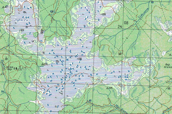 Уменьшенный фрагмент представленной топографической карты O-43-23 - Trasa.ru