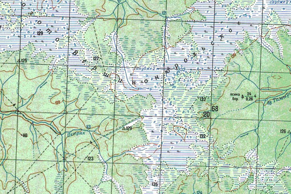 Уменьшенный фрагмент представленной топографической карты O-43-24 - Trasa.ru