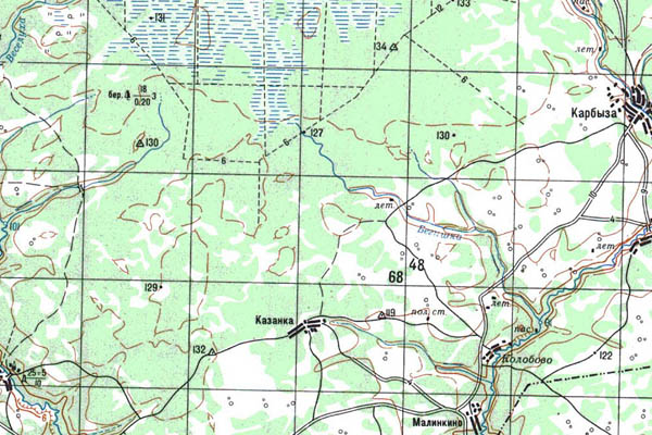Уменьшенный фрагмент представленной топографической карты O-43-34 - Trasa.ru