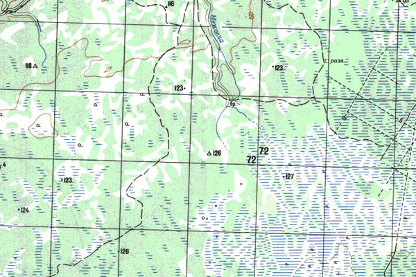 Уменьшенный фрагмент представленной топографической карты O-43-36 - Trasa.ru
