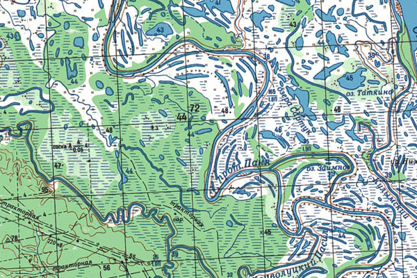 Уменьшенный фрагмент представленной топографической карты O-44-01 - Trasa.ru