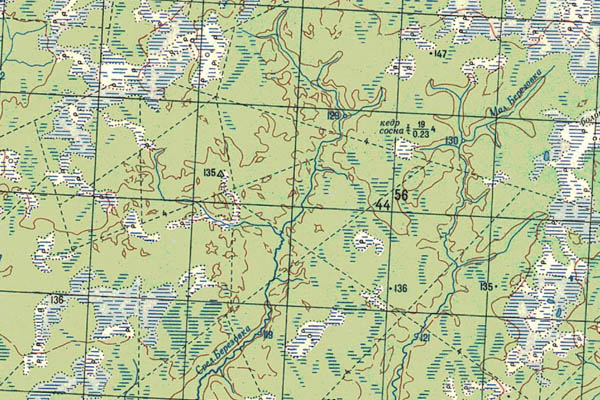 Уменьшенный фрагмент представленной топографической карты O-44-06 - Trasa.ru
