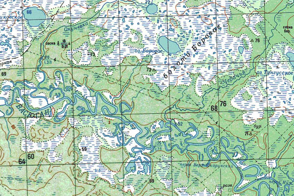 Уменьшенный фрагмент представленной топографической карты O-44-07 - Trasa.ru