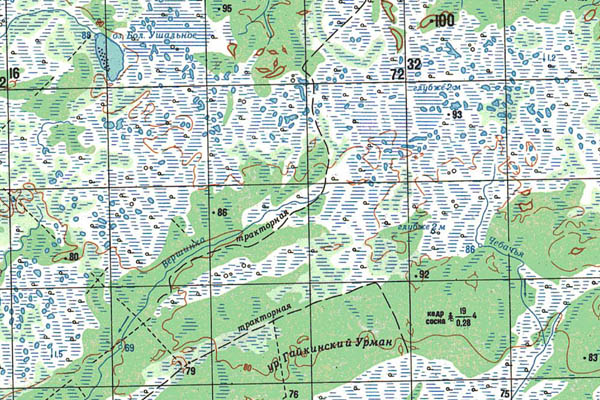 Уменьшенный фрагмент представленной топографической карты O-44-08 - Trasa.ru
