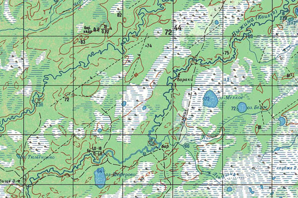 Уменьшенный фрагмент представленной топографической карты O-44-10 - Trasa.ru